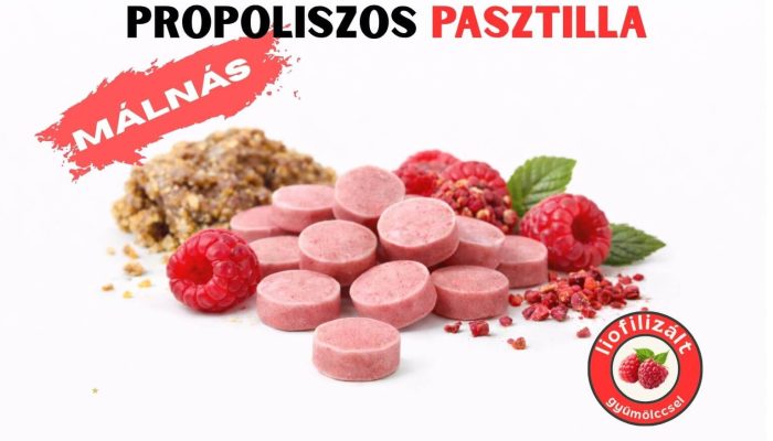 Propolisz pasztilla