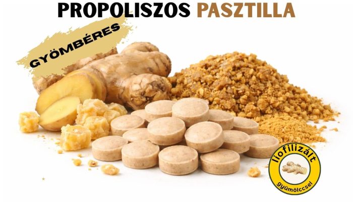 gyömbér propolisz