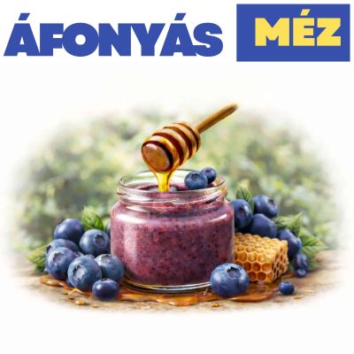 Áfonyás méz