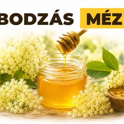 Névtelen terv (36) (1)