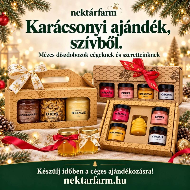 Karácsonyi ajándék