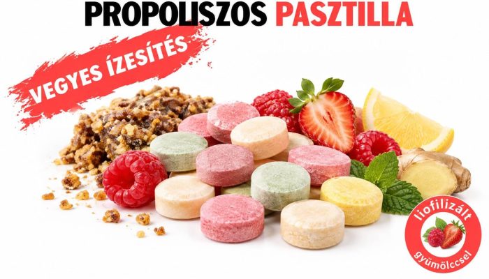 Névtelen terv (56) (1)